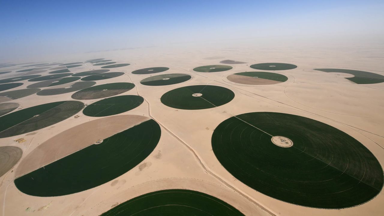 Green oases stand out amid the Saudi desert landscape.