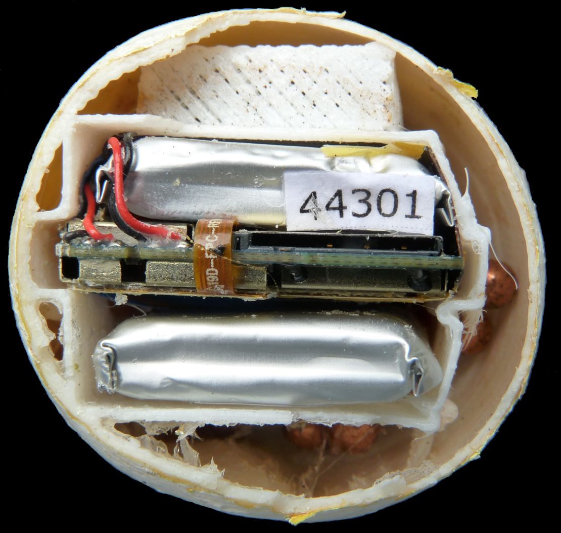 Inside each fake egg is a GPS transmitter which sends location alerts via a mobile signal. The same technology could be adapted for other species.