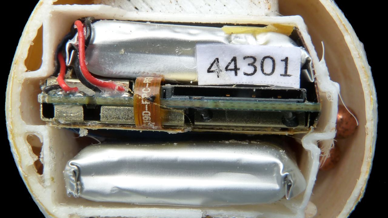 Inside each fake egg is a GPS transmitter which sends location alerts via a mobile signal. The same technology could be adapted for other species.