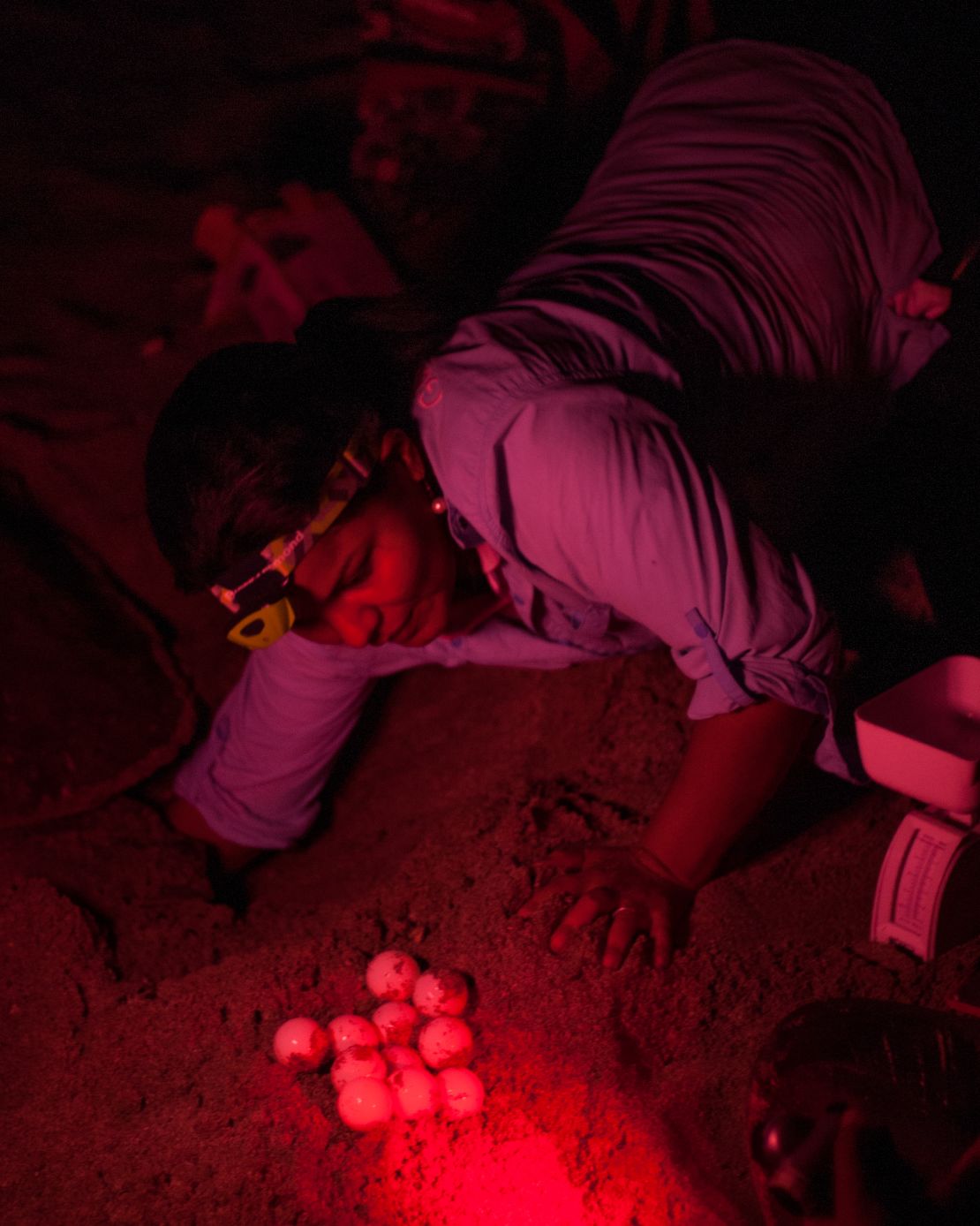 Pheasey and her team inserted the fake eggs into turtle nests during the night.