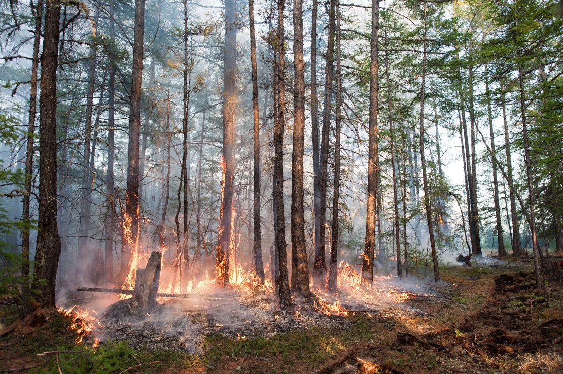 A forest fire burns in Russia's Sakha Republic. Parts of Siberia experienced temperatures in 2020 that were more than 6 degrees Celsius above normal averaged over the year.