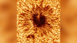 This is the first sunspot image taken by the new Inouye Solar Telescope.  The image reveals striking details of the sunspot's structure as seen at the Sun's surface.