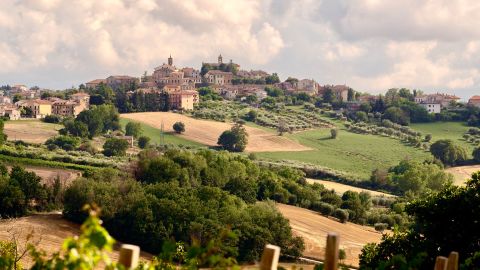 Located in the Italian region Marche, Morro d'Alba is known for its wine.