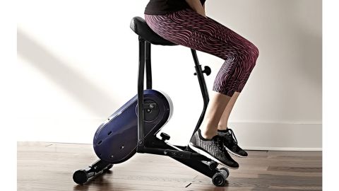 Rodeo Core Exerciser 