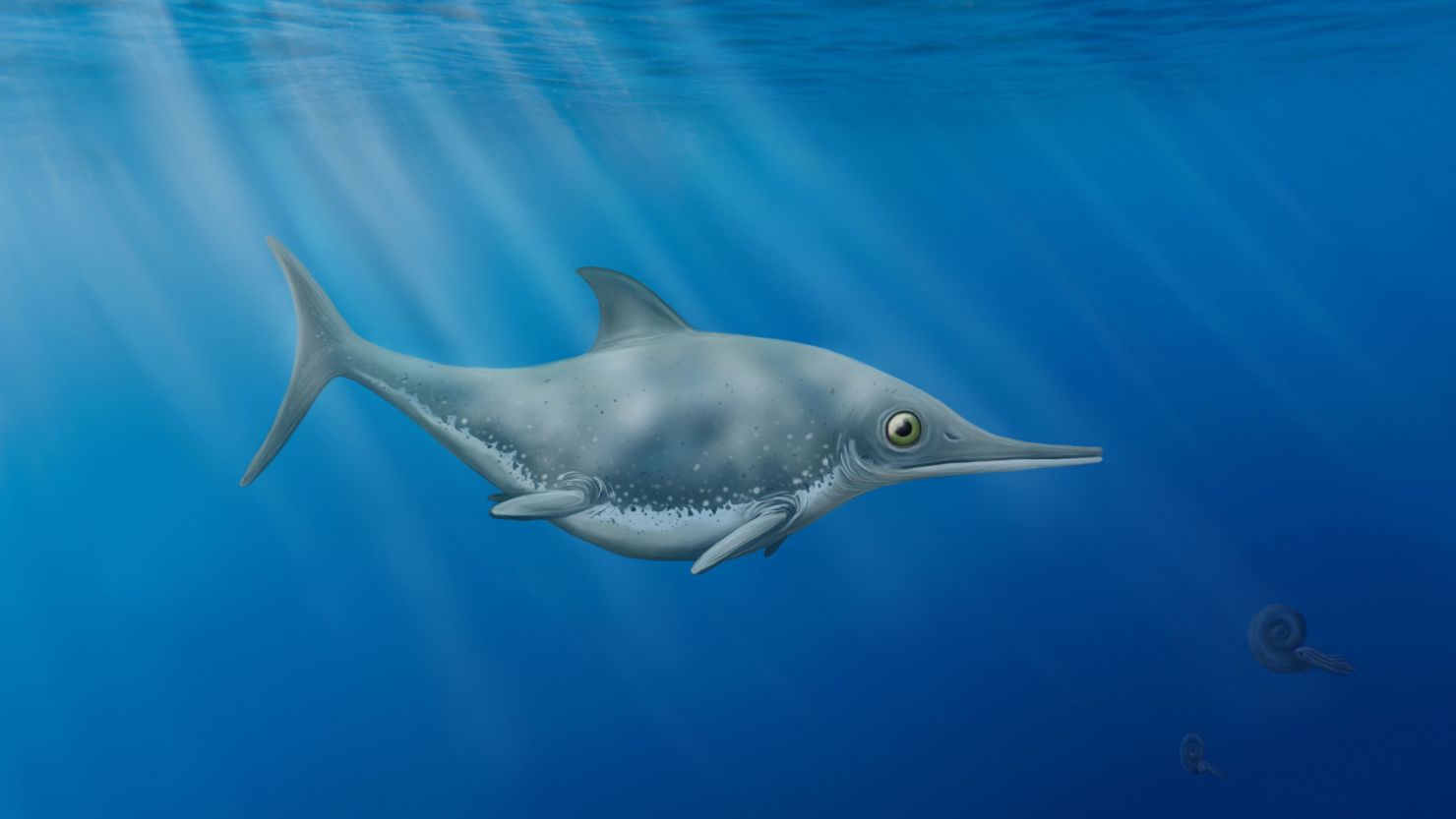 An artist's impression of the new "sea dragon," Thalassodraco etches.