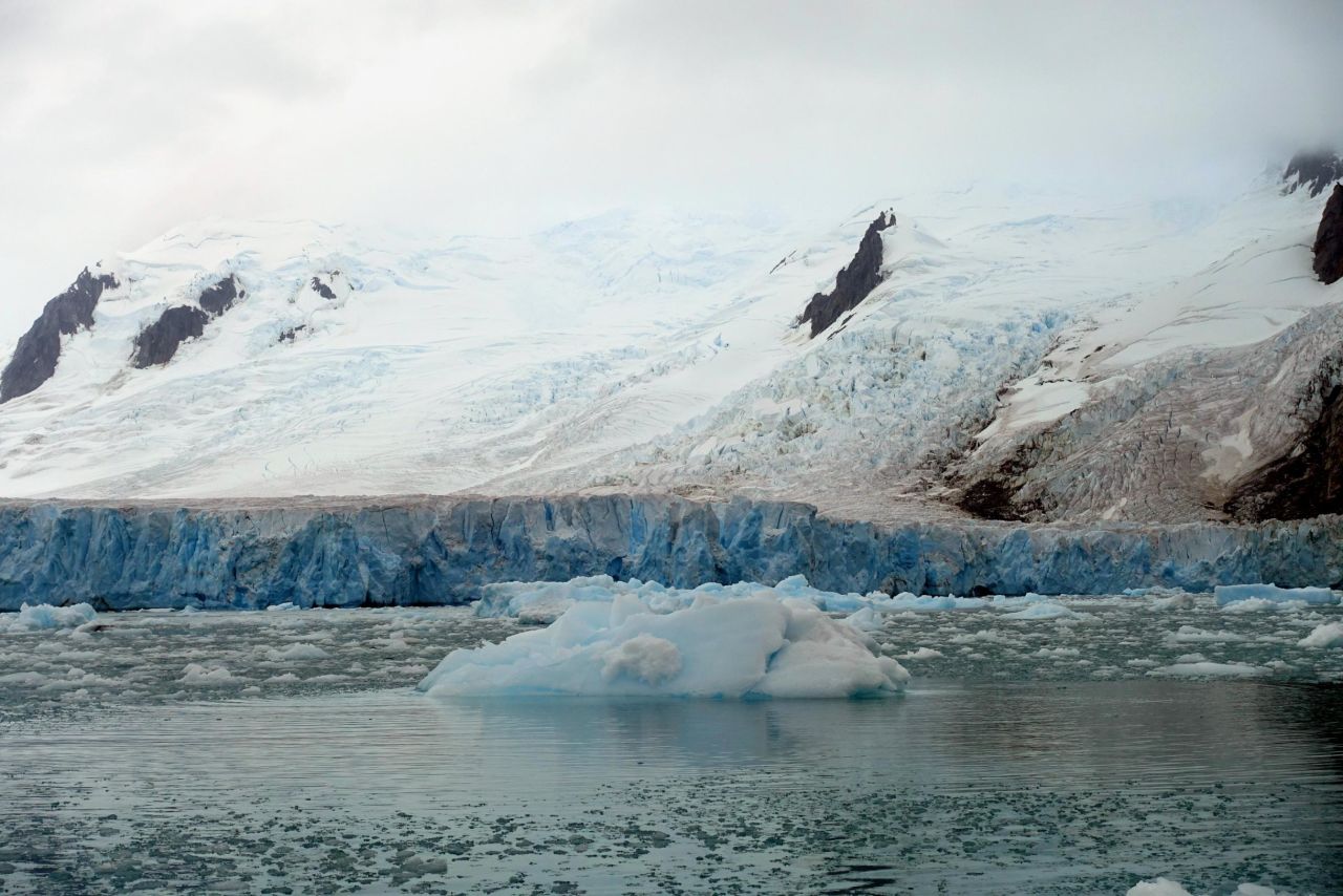 Blocks of ice calve into the ocean from a glacier on Livingston Island, Antarctica. Cook says this form of ice mass loss, in addition to surface melting, is accelerating in the world's frozen regions due to the warming climate.