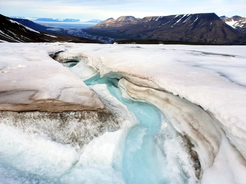 Microscopic Life Is Melting Greenland’s Ice Sheet | CNN