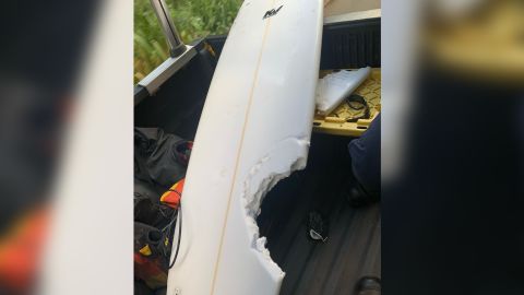 02 surfer killed shark hawaii