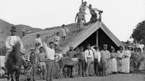 Te Mataruru Marae -- or Māori communal place -- in Whanganui district in the 1880s. Photograph taken by the studio of William James Harding. 