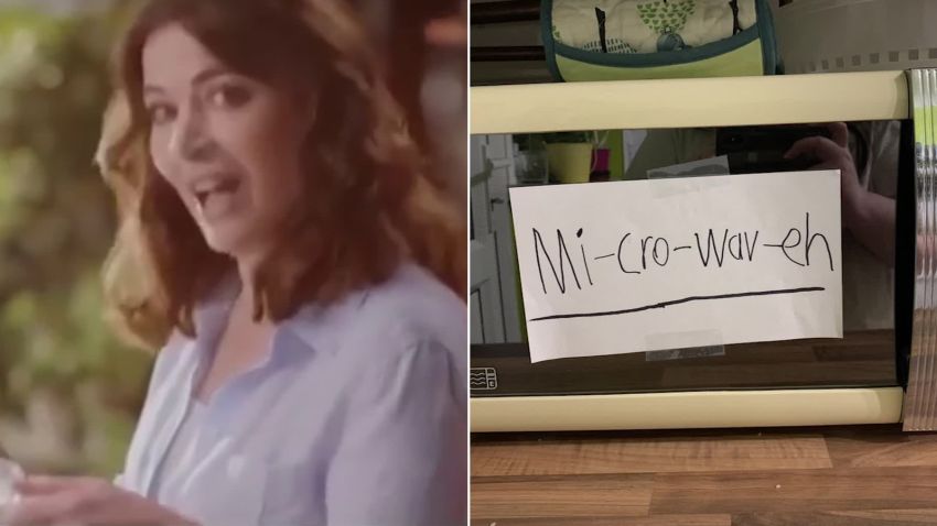 Nigella Lawson microwave split