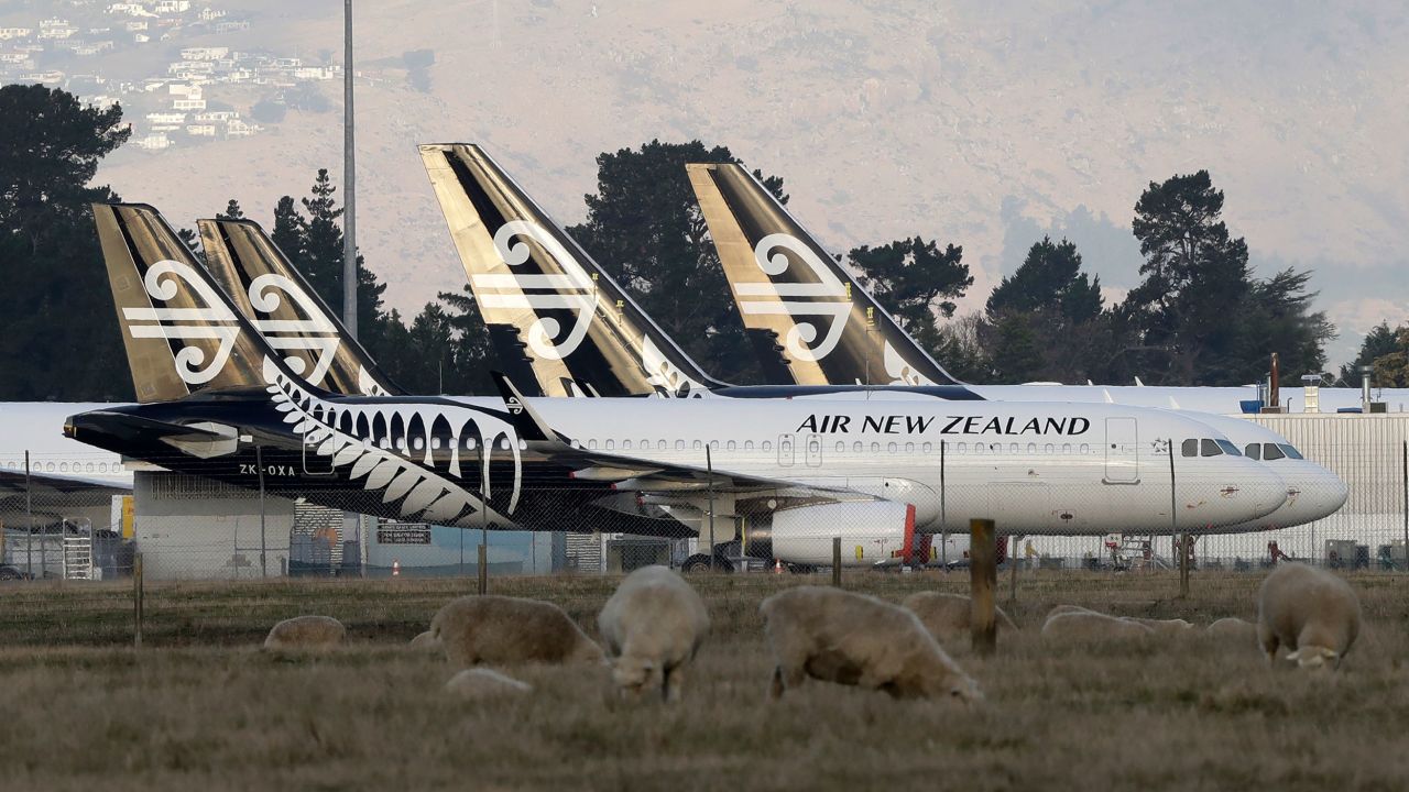 Air New Zealand planes sit parked on the tarmac as sheep graze in a nearby field at Christchurch Airport in Christchurch, New Zealand, Wednesday, May 20, 2020.In a statement Wednesday May 20, 2020, Air New Zealand said it had been forced to undergo a significant program of cost reductions as a result of the financial damage caused by Covid-19 and has taken the step of reducing their workforce by 3500 roles. (AP Photo/Mark Baker)