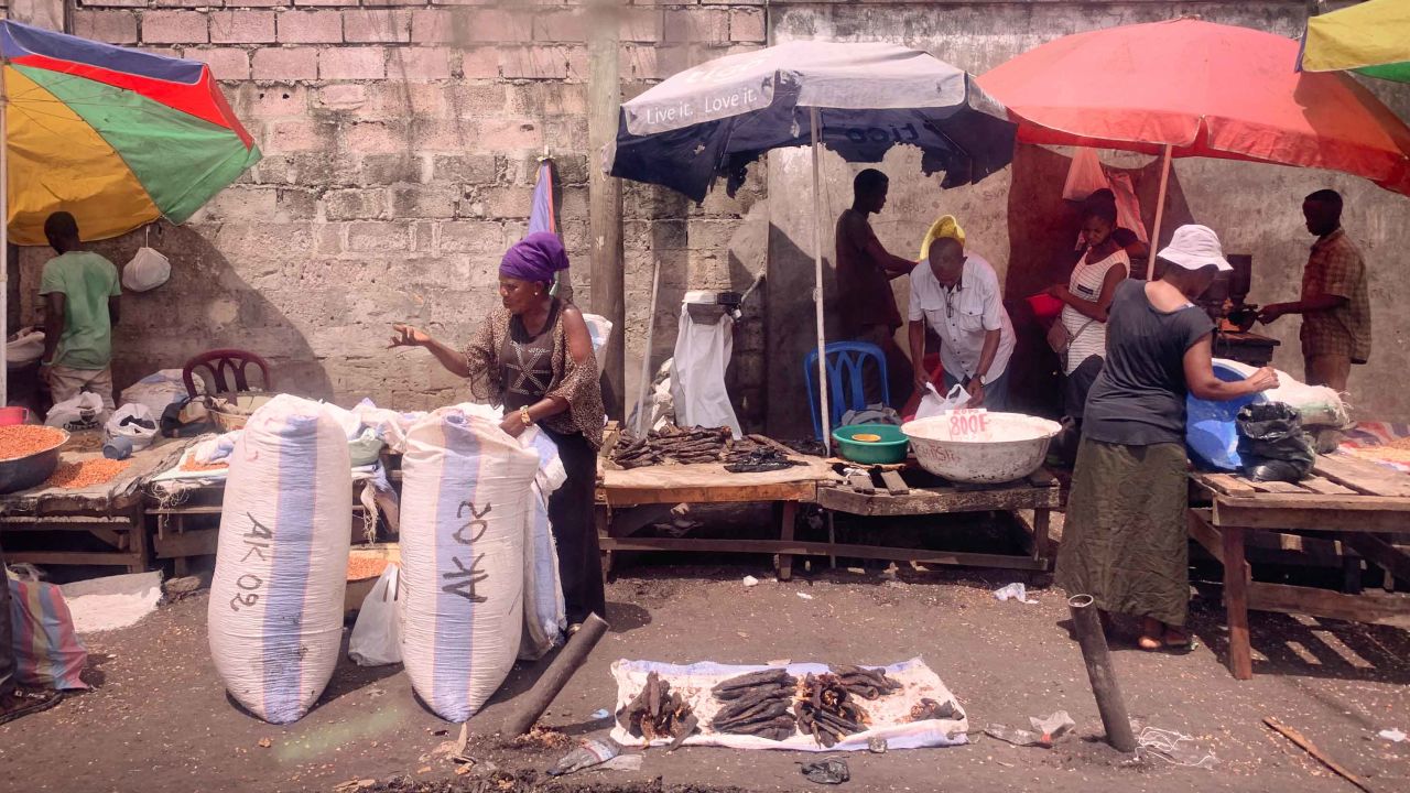 Bushmeat market in Kinshasa Port. Smoked fish is for sale here.
