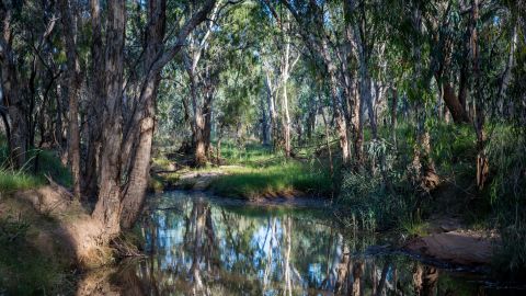 The beginning of the Carmichael River, which will be cut by the void of the Carmichael Coal mine.