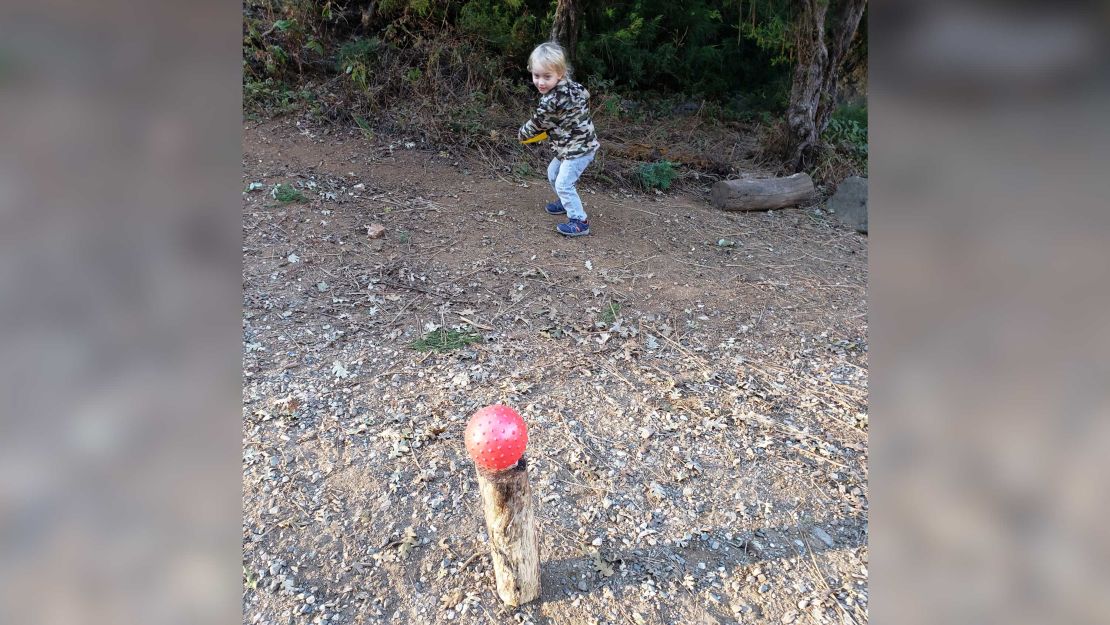 Dan DeJager, a physical education teacher in Fair Oaks, California, has created regular outdoor activities for his two sons in the pandemic. Shown is his son Henry, 3, attempting to hit a ball off a log with a Frisbee.