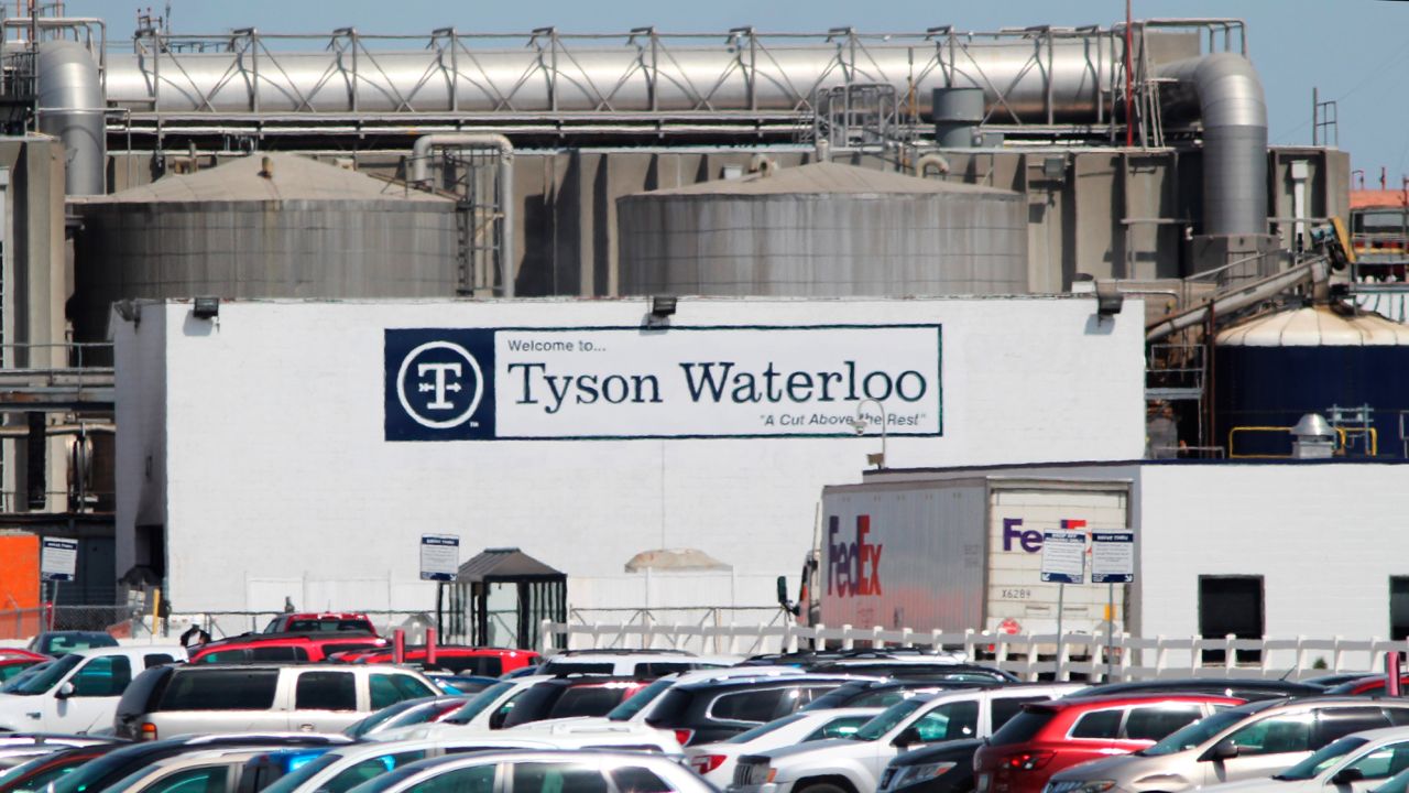 Tyson said Wednesday that it has terminated seven managers at its Waterloo plant.
