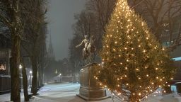 boston snow christmas tree