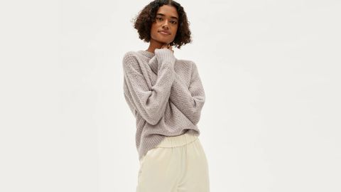 Everlane The Oversized Alpaca Crew