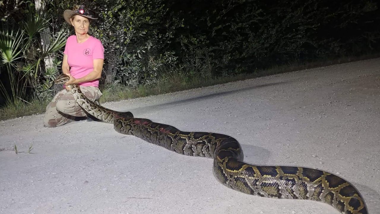  Donna Kalil holding a 13-foot python she caught with fellow python hunter Kevin Pavlidis. 
