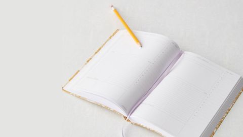 Urban Outfitters Daily Planner Journal
