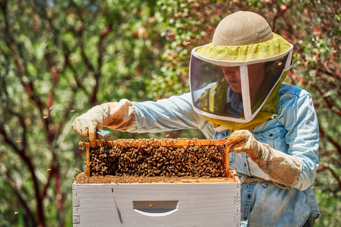 The resort also has partnered with Sonoma County Bee Company to offer guest demonstrations.