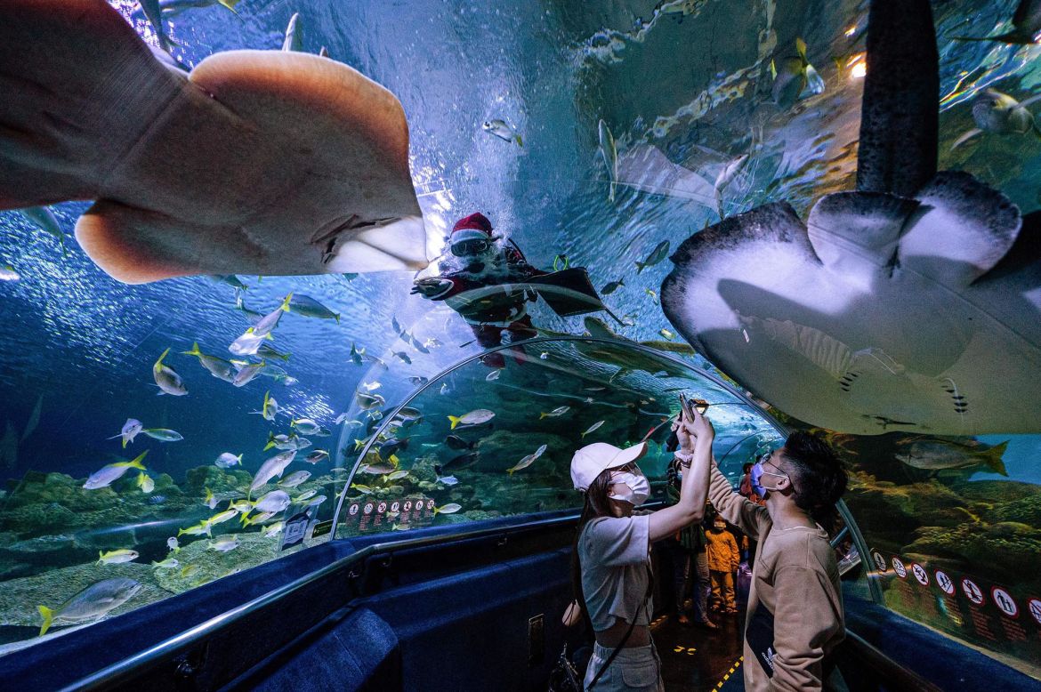Visitors take photos as a diver dressed as Santa Claus feeds fish inside a tank at the Aquaria KLCC in Kuala Lumpur, Malaysia, on Wednesday, December 23.