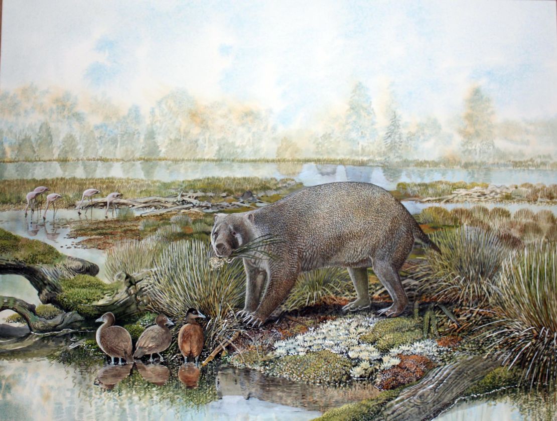 An artist's impression depicts the wombat-like marsupial Mukupirna nambensis.
