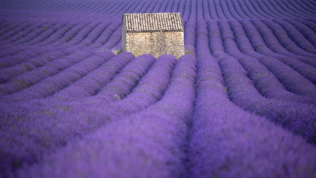 Rolling fields of lavender or grape vineyards are among highlights of a trip to France.
