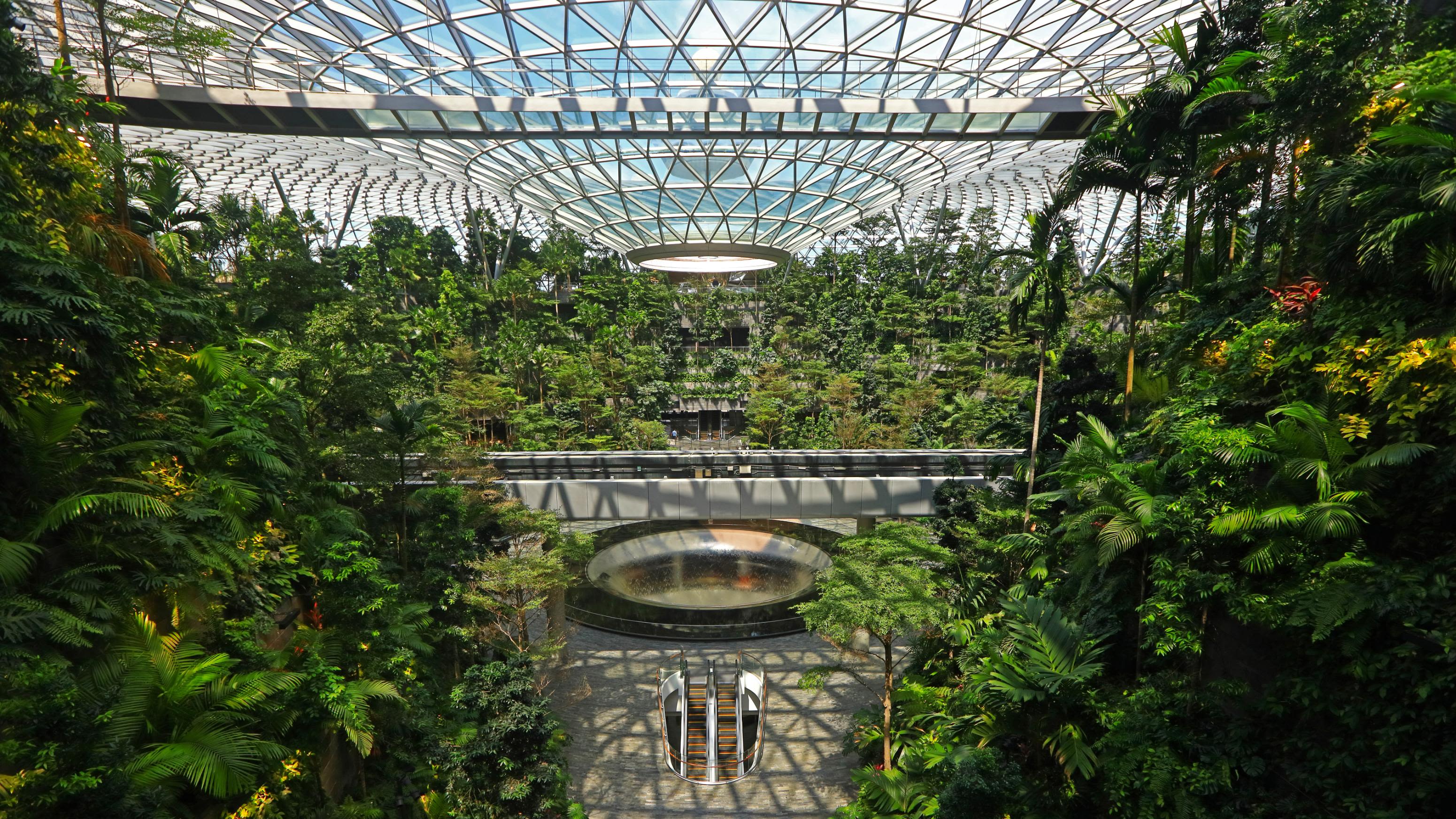 Changi Airport's Jewel: For Every Traveler, a Garden – Common Edge
