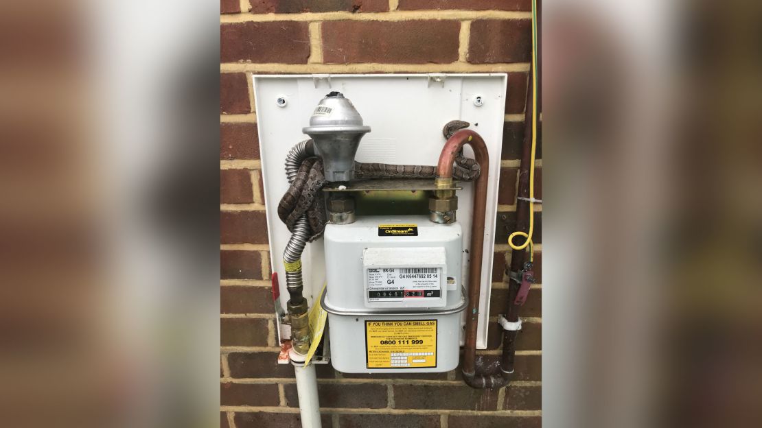 A gas worker got a slithery surprise when attempting to read the meter.