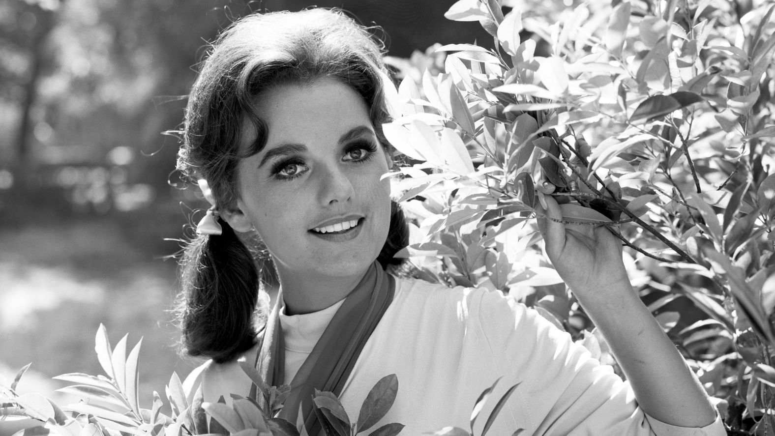 <a href="https://www.cnn.com/2020/12/30/entertainment/dawn-wells-obit/index.html" target="_blank">Dawn Wells</a>, who played the lovable castaway Mary Ann Summers on "Gilligan's Island," died from Covid-19 complications on December 30, her publicist Harlan Boll confirmed to CNN. She was 82.