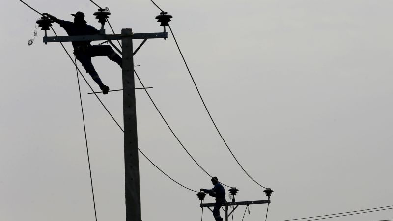 Sri Lanka: Monkey blamed for nationwide blackout as island scrambles to restore power