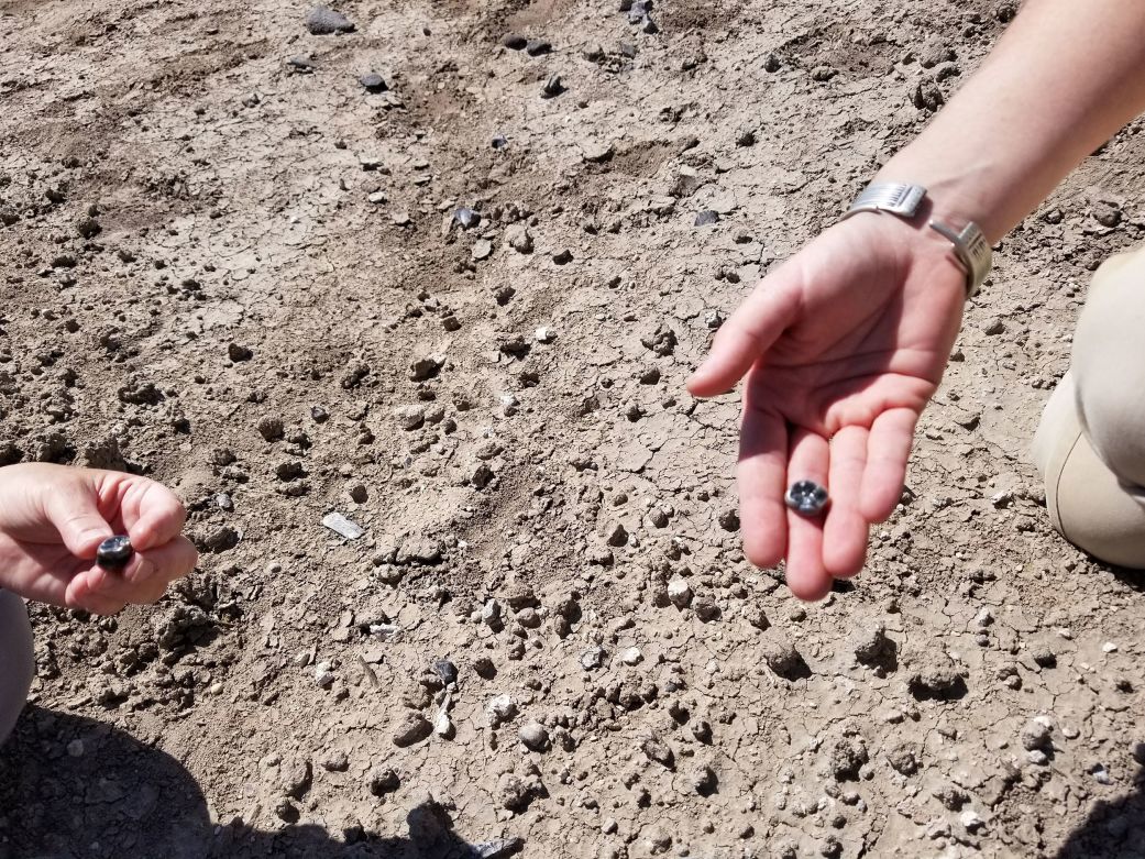 Archaeologists uncovered teeth from an ancient human ancestor in Ethiopia's Afar Region.