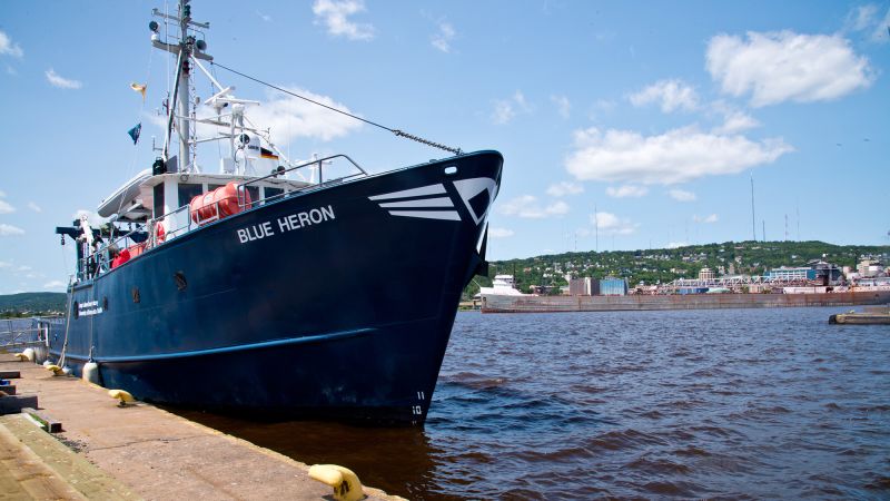 https://media.cnn.com/api/v1/images/stellar/prod/20187-llo-blue-heron-regents-29.jpg?c=16x9&q=w_800,c_fill