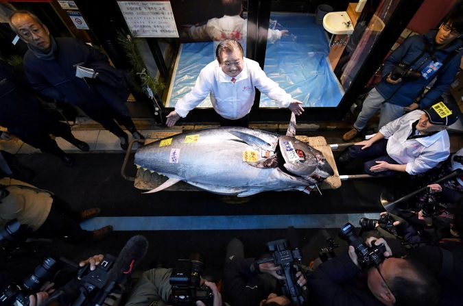 Bluefin tuna is known for its flavor and texture, and its size– the biggest on record weighing in at 1,496 pounds. The species is endangered, with its scarcity adding to its value. In 2019, a bluefin tuna sold for over $3 million at an auction in a Tokyo market. The fish pictured was auctioned for 193 million Japanese yen (about $1.8 million) in Tokyo, in 2020.