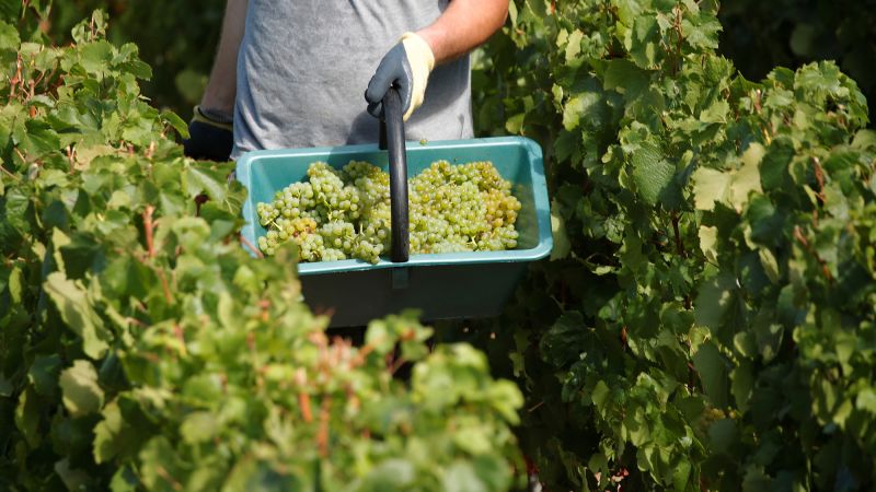 This country has the best wines in the world for 2025