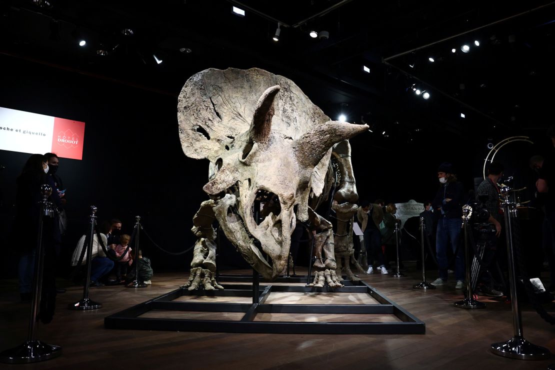 Visitors look at the skeleton of a gigantic Triceratops over 66 million years old, named "<a href="https://www.cnn.com/style/article/worlds-largest-triceratops-auction-scn/index.html">Big John</a>," on display before its sale at Drouot auction house in Paris in October 2021.