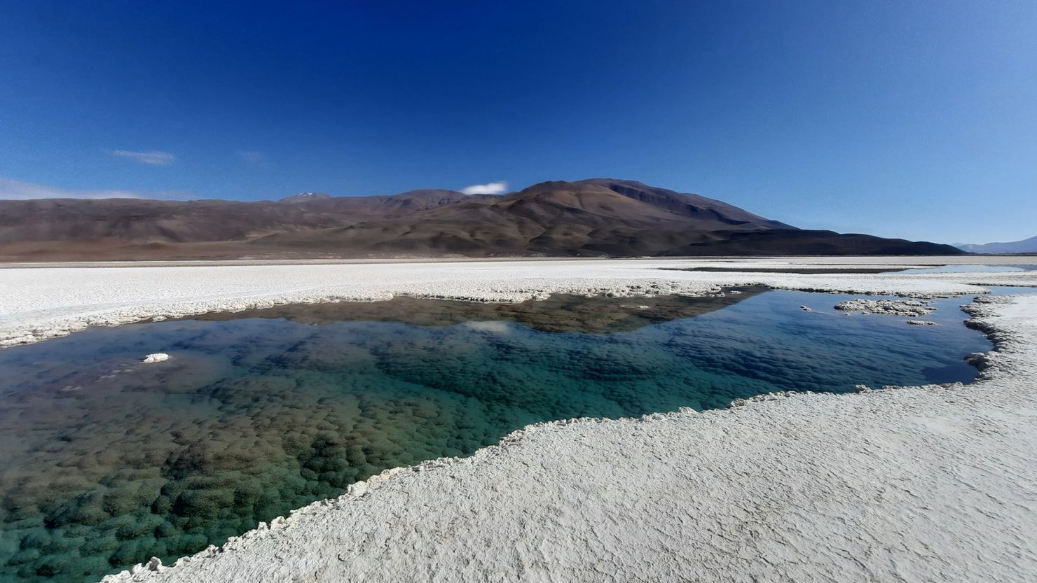 A high plateau in northwestern Argentina has salt lagoons with living giant stromatolites, layered rocks created by microbes that represent the earliest fossil evidence for life on Earth.