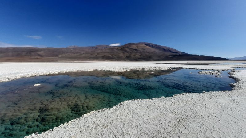 Land of the lost: Hidden lagoon network found with living fossils similar to those from more than 3 billion years ago