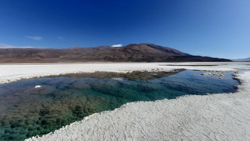 Um raro ecossistema contendo exemplos dos fósseis mais antigos do mundo oferece uma janela para o início da vida na Terra