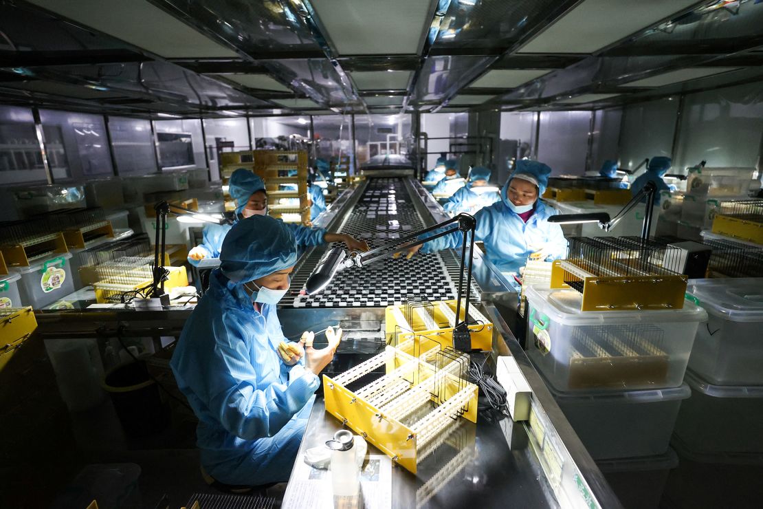 Employees work on the production line of glass panels for mobile phones at a factory in Zunyi, Guizhou province, China, on March 6, 2023.