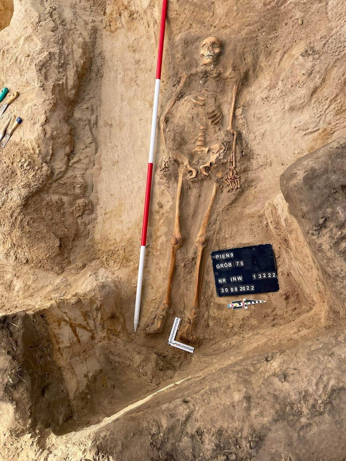 Скелет молодой женщины, похороненный с висячим замком на ноге и железным серпом на шее, видимо, чтобы помешать ей воскреснуть из мертвых, можно увидеть в Пиене, Польша.