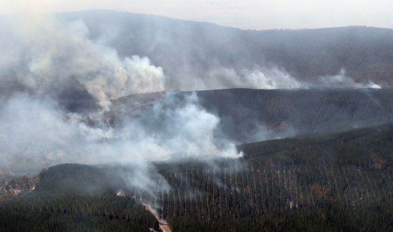 Australia Bushfires: Victoria Orders 30,000 People To Evacuate Due To ...