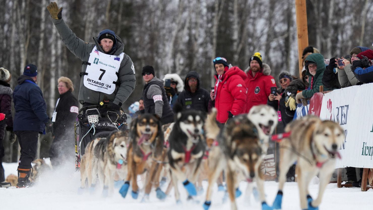 Iditarod musher penalized for not sufficiently gutting moose he killed