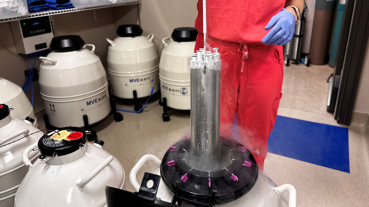 Lynn Curry, nurse practitioner for Huntsville Reproductive Medicine, P.C., lifts frozen embryos out of IVF cryopreservation dewar in Madison, Alabama, U.S., March 4, 2024.