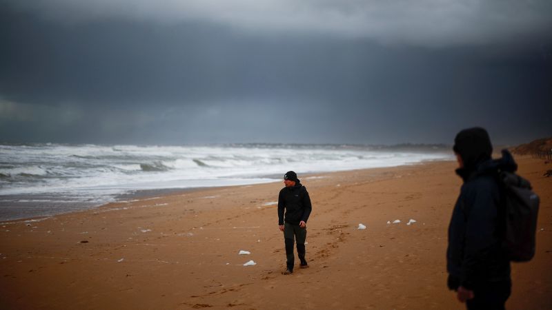 Повече от 500 мъртви морски птици са изхвърлени на френските плажове