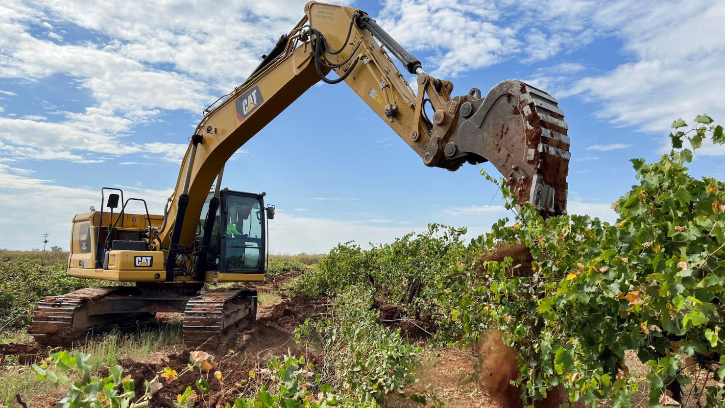 An excavator digs up vines near the town of Griffith in southeast Australia on February 27.