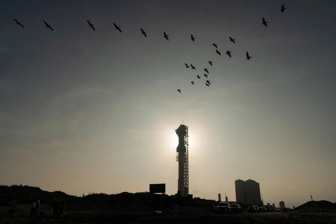 Pájaros vuelan cerca de la nave Starship de SpaceX, que se encuentra sobre el poderoso cohete propulsor Super Heavy en la plataforma de lanzamiento de la compañía en Texas, antes de un vuelo de prueba en marzo.