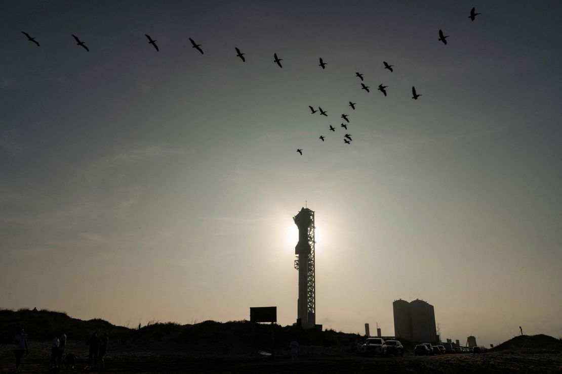 Birds fly near SpaceX's Starship, sitting atop the powerful Super Heavy rocket booster at the company's Texas launchpad, ahead of a test flight in March.