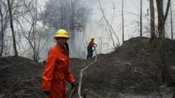 Volunteers of the Central University of Venezuela firefighter brigade battle a wildfire in Henri Pittier National Park in Maracay, Venezuela on March 29.