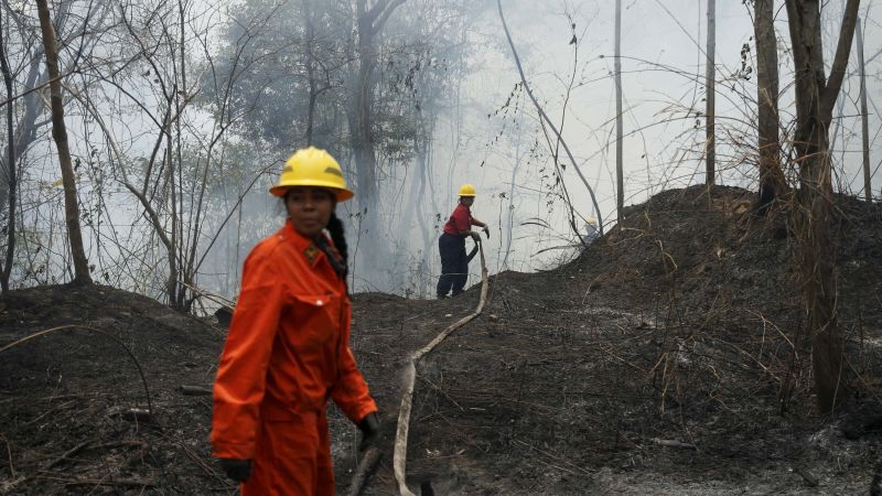 Венецуела се бори с рекордни пожари, влошени от сушата в Амазонка